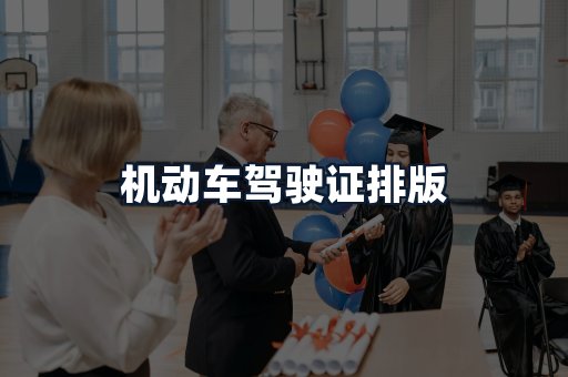 机动车驾驶证排版